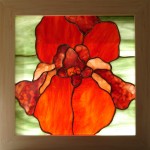Orange Iris Panel by Anne Thornton